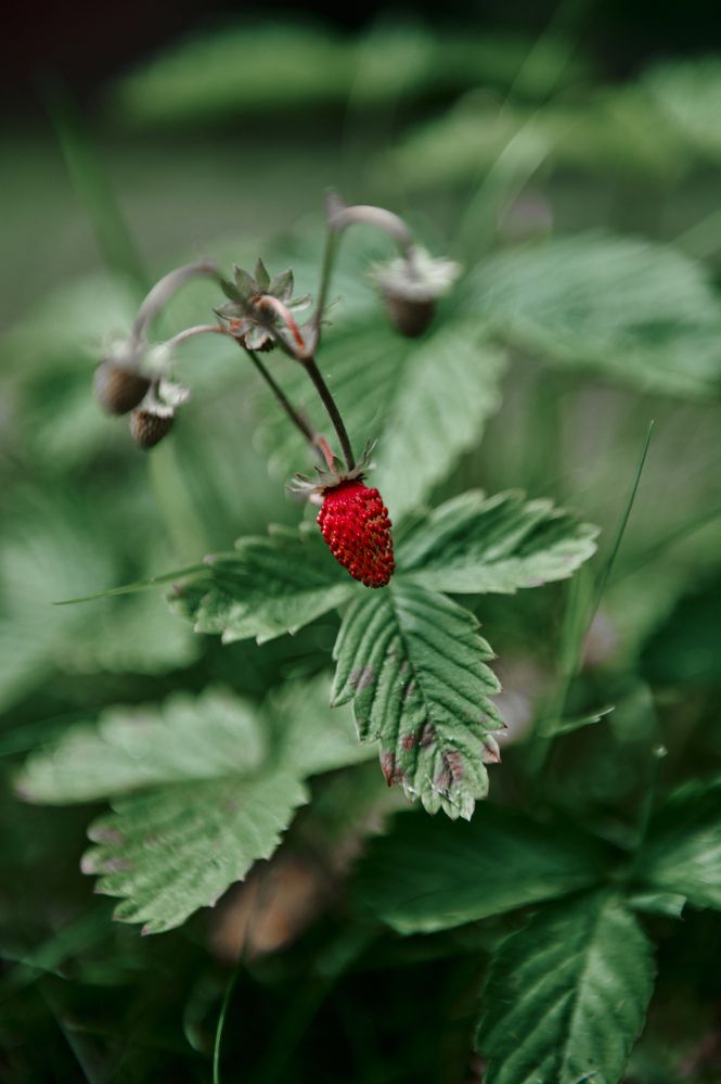 Фотография автора Александр Жданов