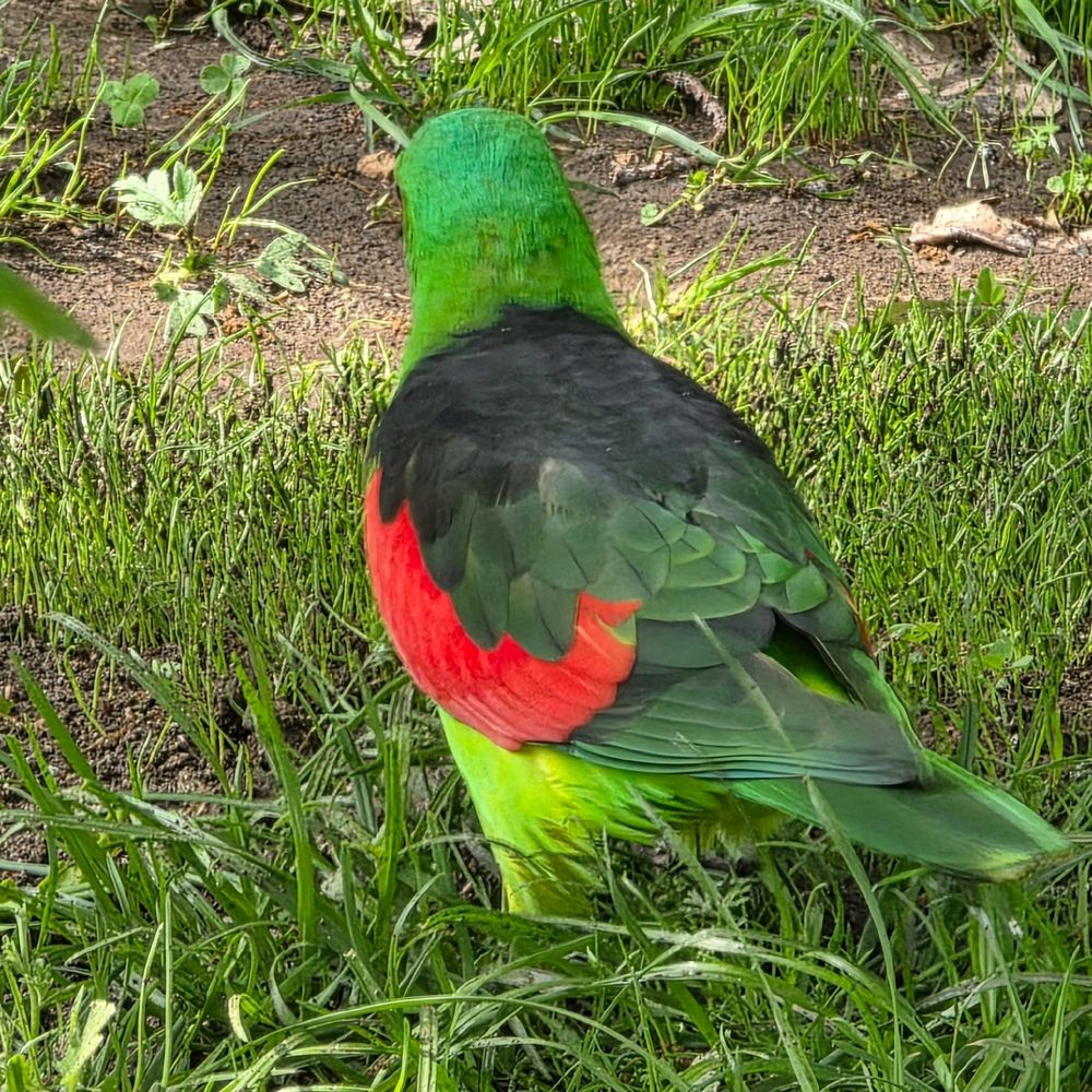 Photograph by Куделенко Оксана