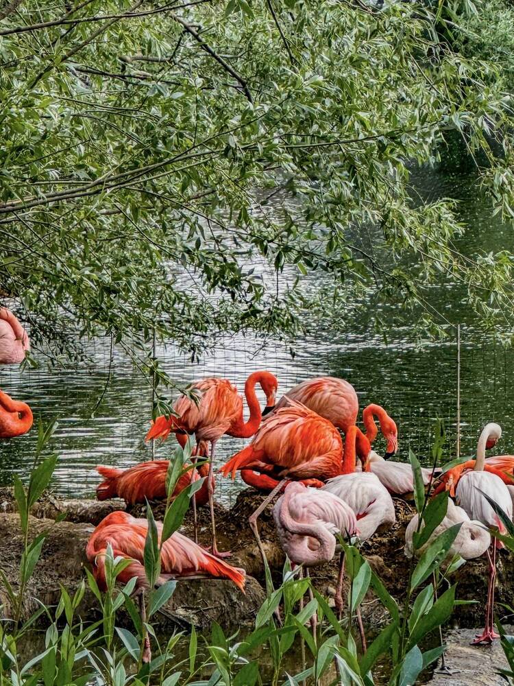 Photograph by Ekaterina Slepneva