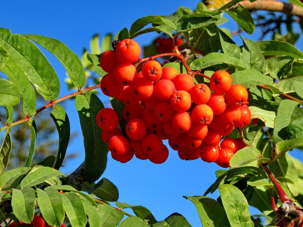 Photograph by Виталий Симоненков