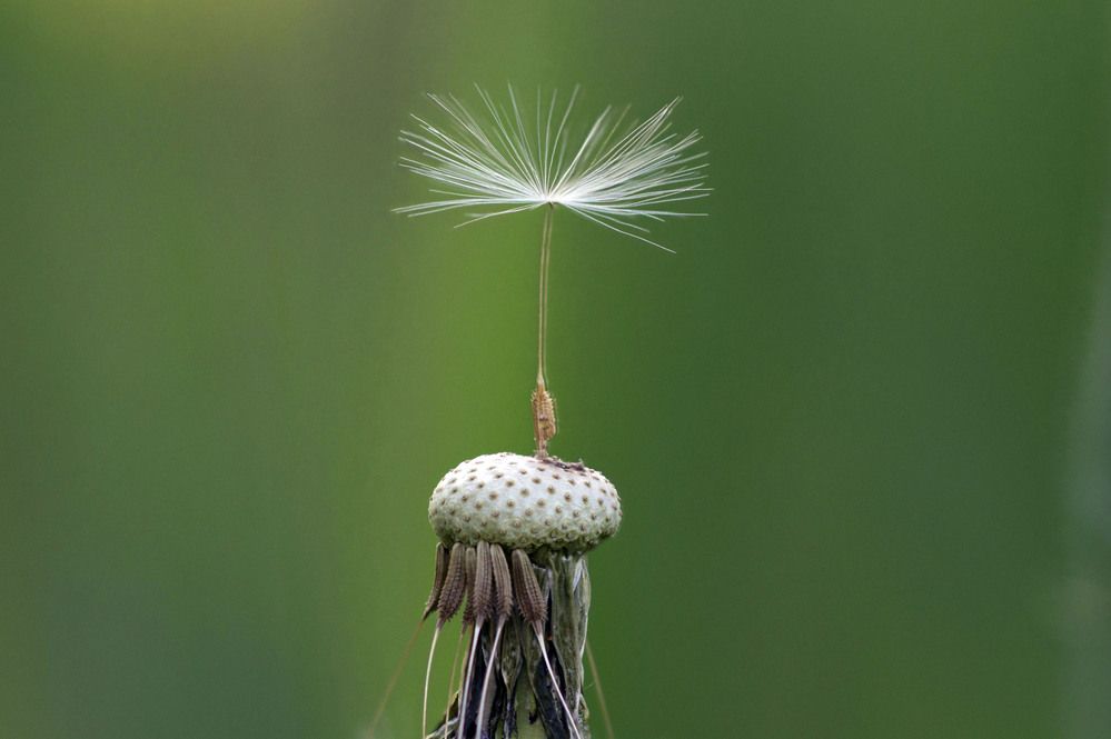 Photograph by Аlessandro