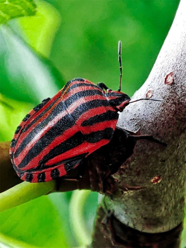 Photograph by Хоменчук Людмила