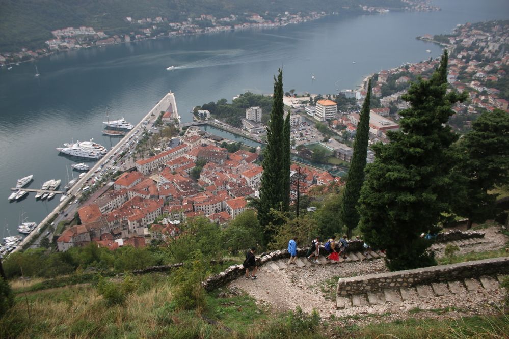 Фотография автора Анатолий Дауров