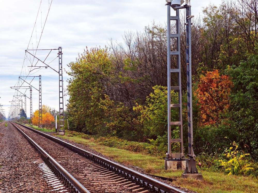 Фотография автора OXANA NAUMOVA