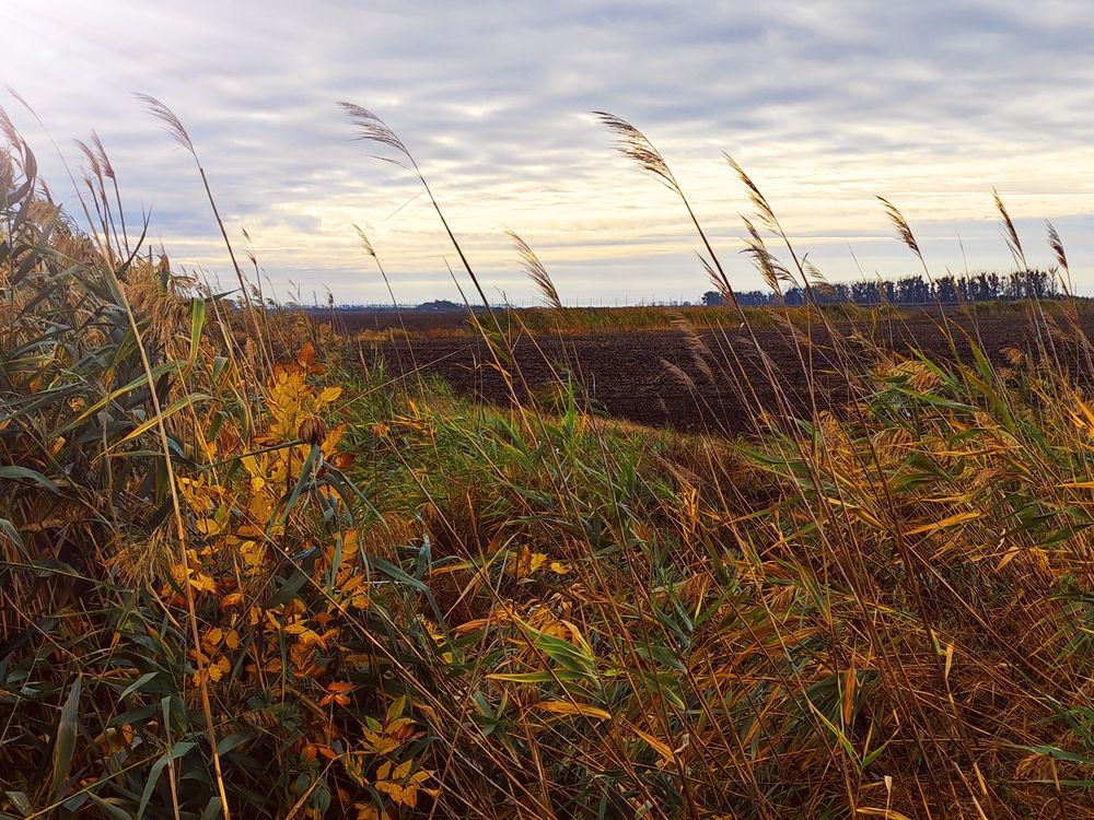 Фотография автора OXANA NAUMOVA