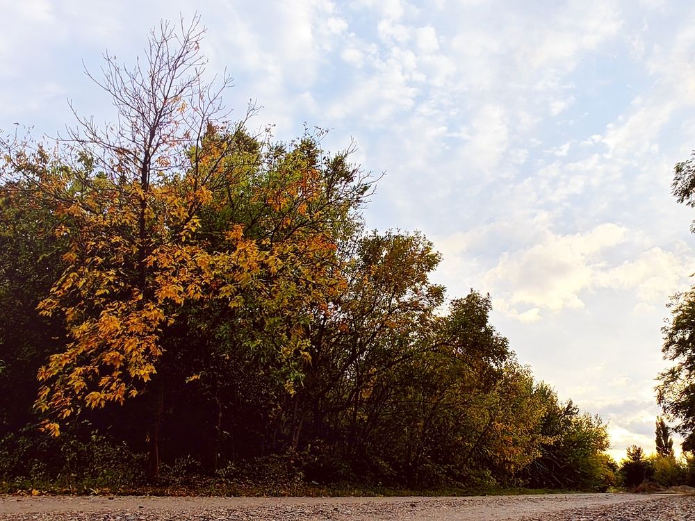 Фотография автора OXANA NAUMOVA