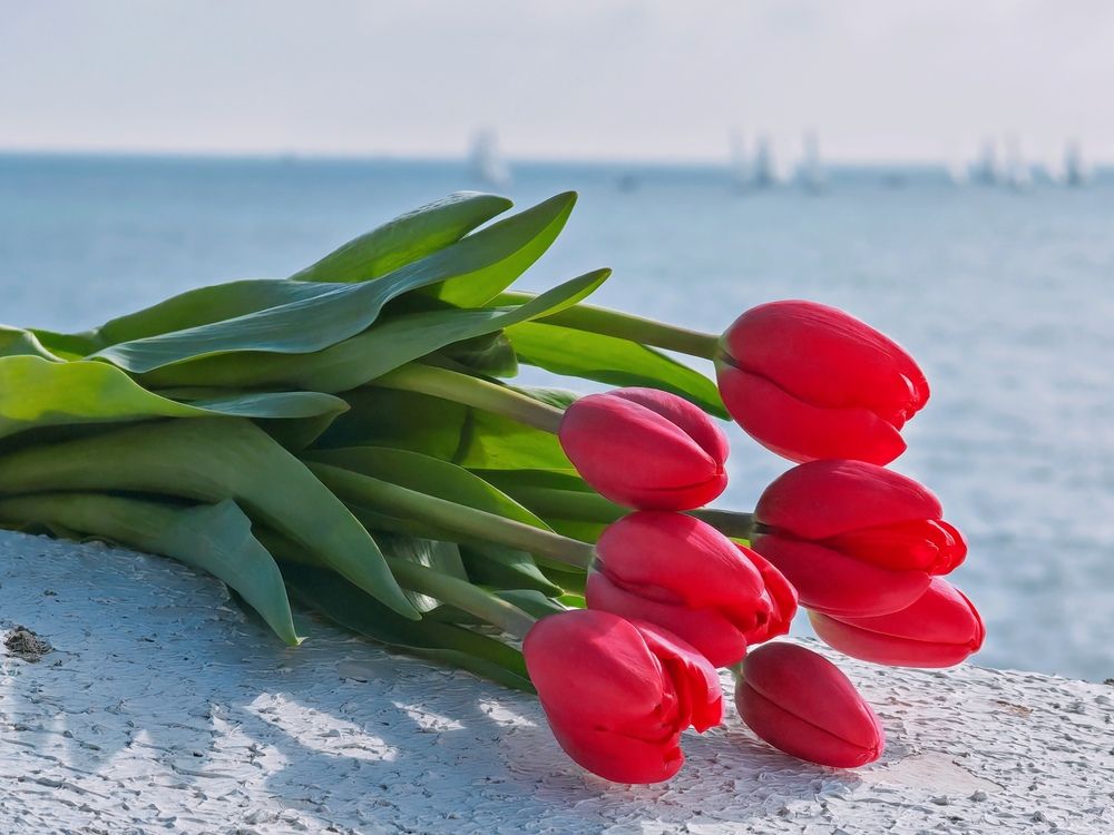 Фотография автора OXANA NAUMOVA