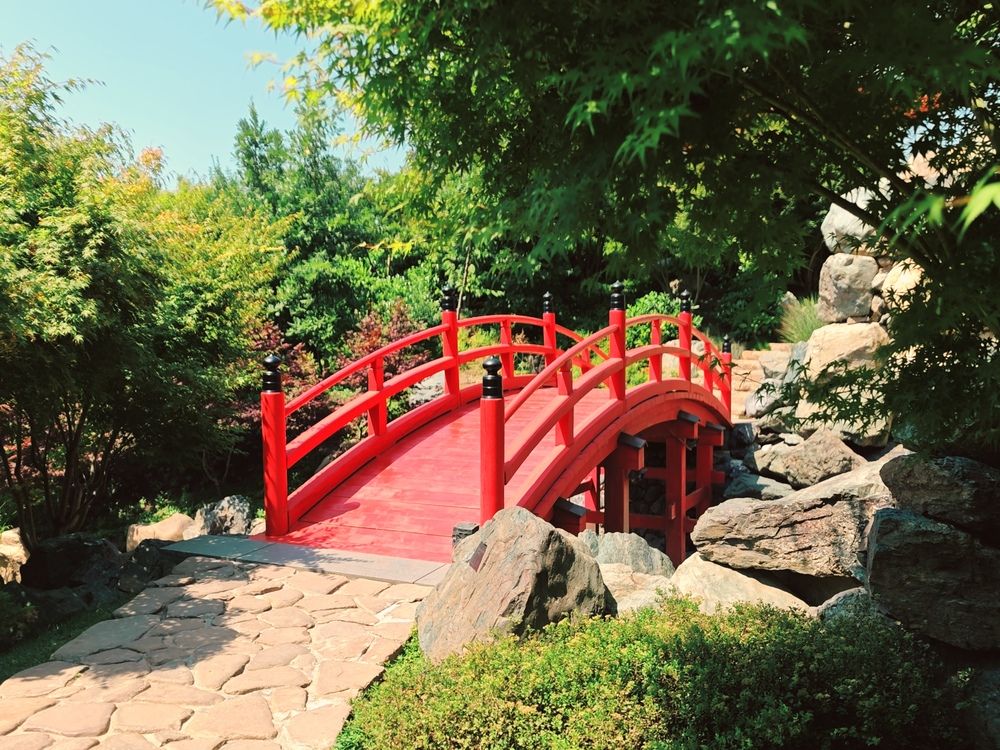 Фотография автора OXANA NAUMOVA