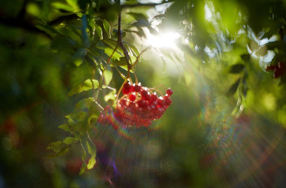 Photograph by Юлия Персинен