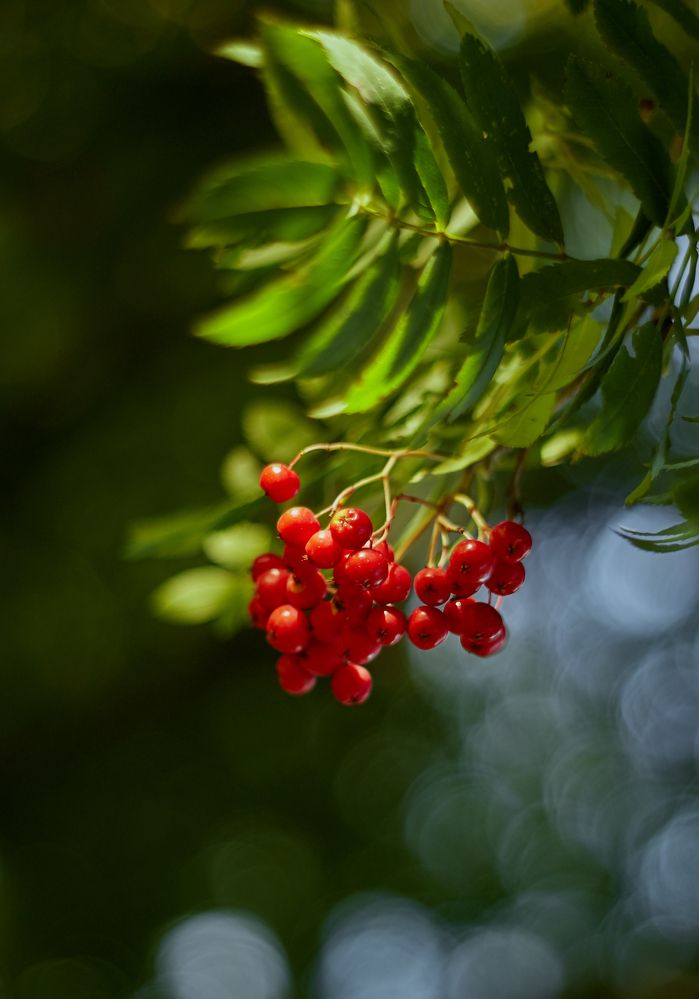 Photograph by Юлия Персинен