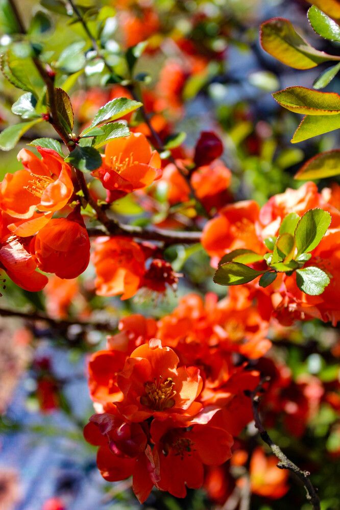 Photograph by Ineta Osipoviča