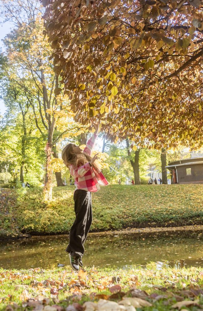 Photograph by Ineta Osipoviča