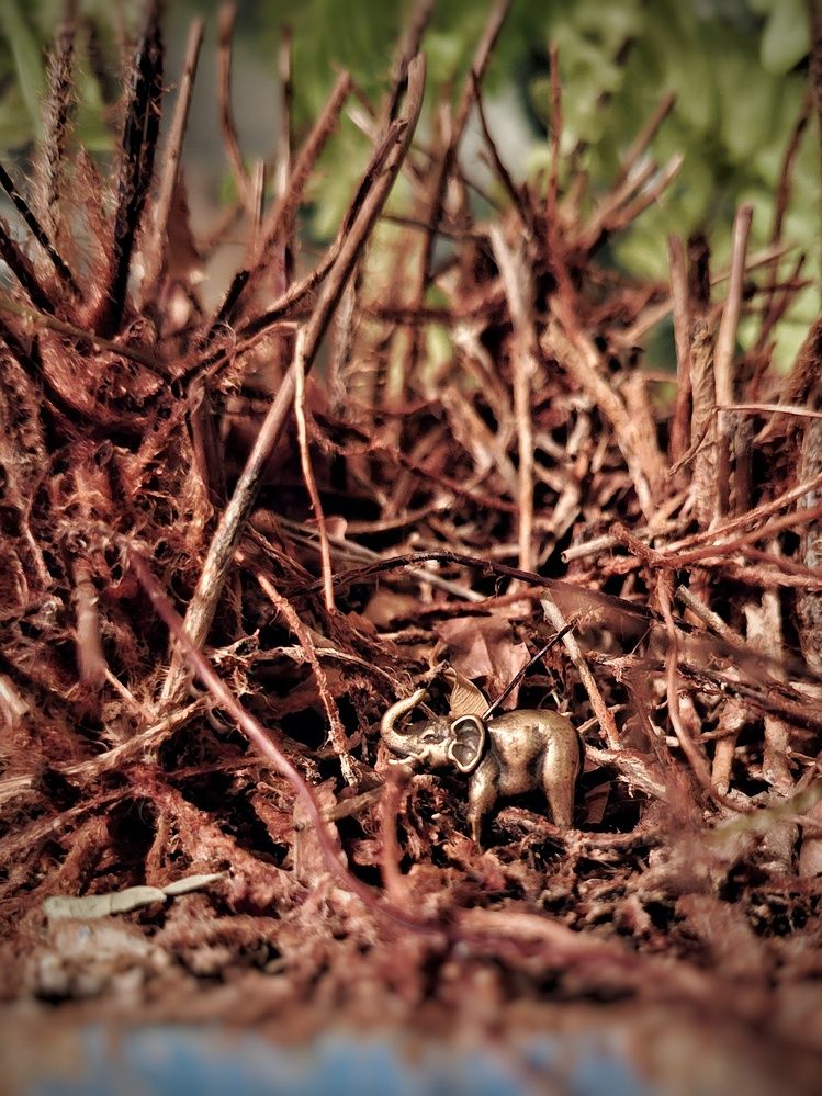 Photograph by Бакшеева Марина