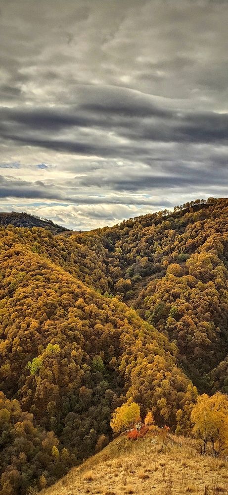 Photograph by Олег Карданов