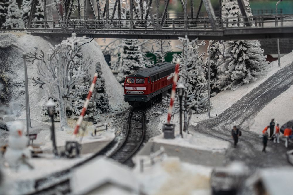 Photograph by Дмитрий Анисимов