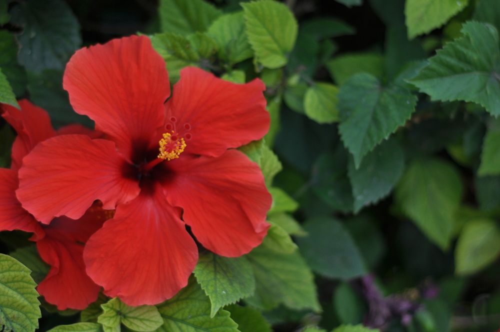 Photograph by Наталья Сергеевна Крылова