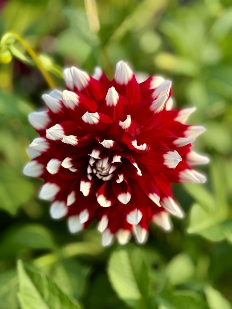 Photograph by Oksana Makrushina