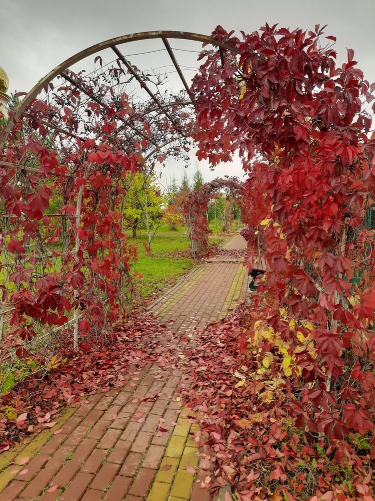 Photograph by Oksana Makrushina