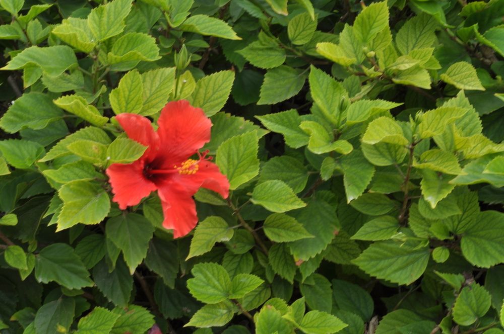 Photograph by Наталья Сергеевна Крылова