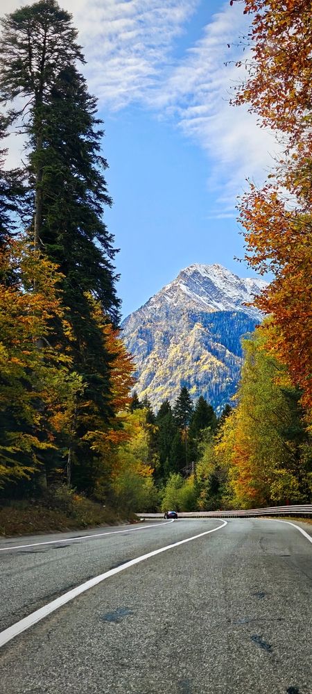 Photograph by Олег Карданов