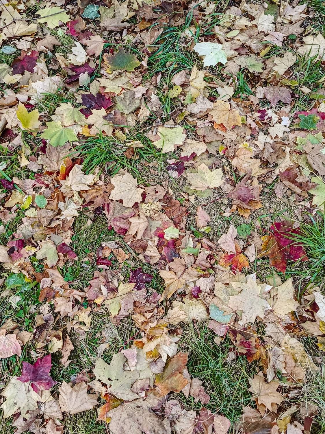 Photo #12743708