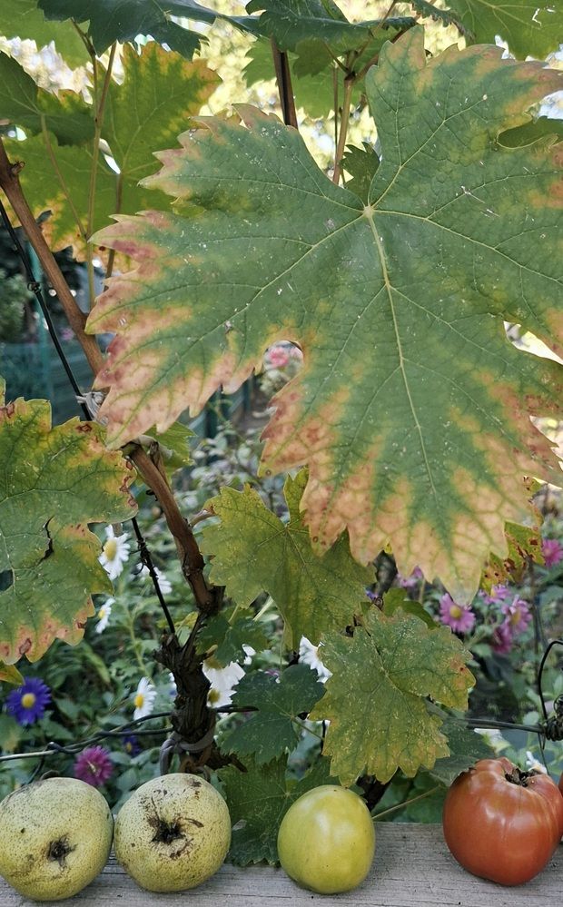 Фотография автора Маргарита Тетёркина