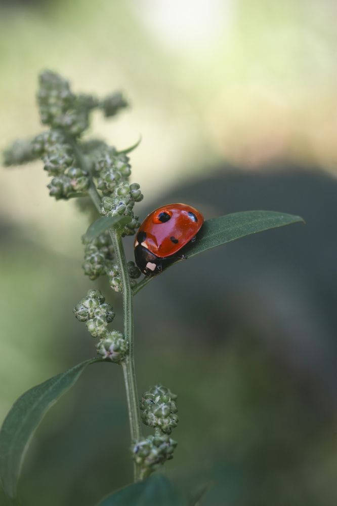 Photograph by Виктория