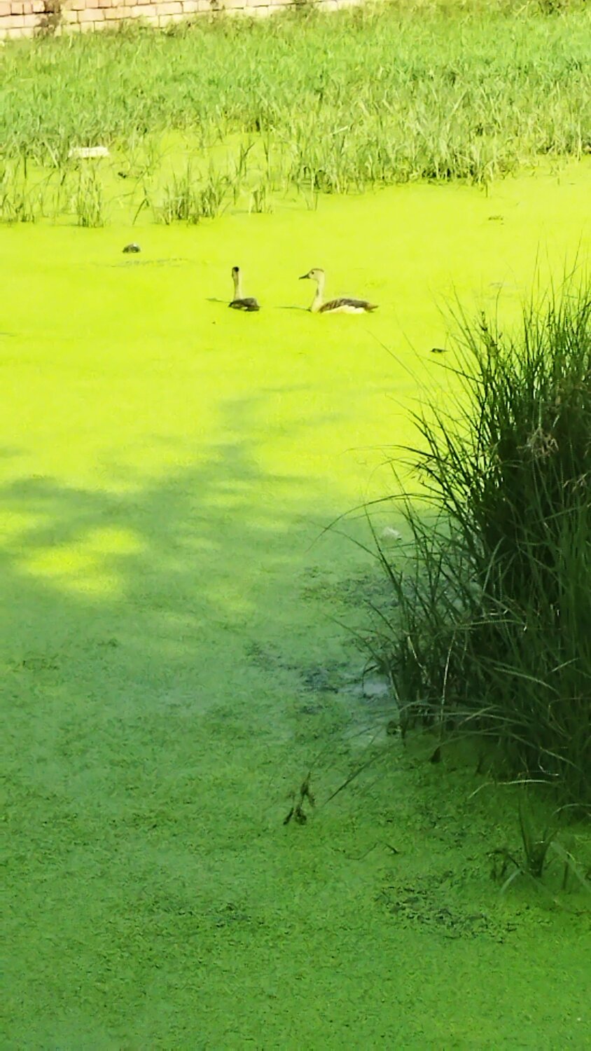 Curiosity in nature with love