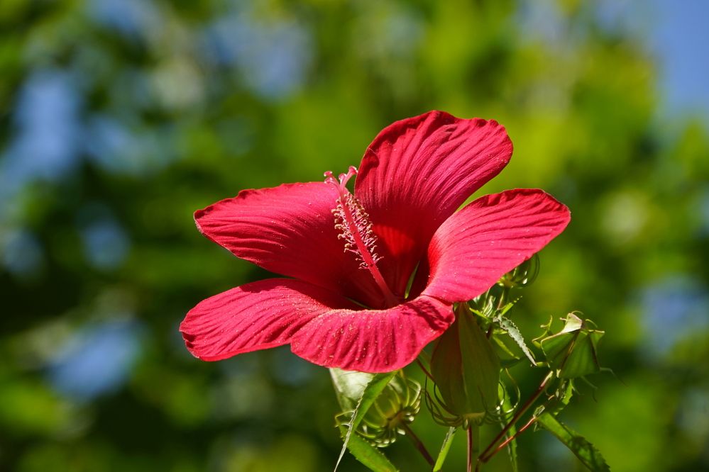 Photograph by сергей мишаков