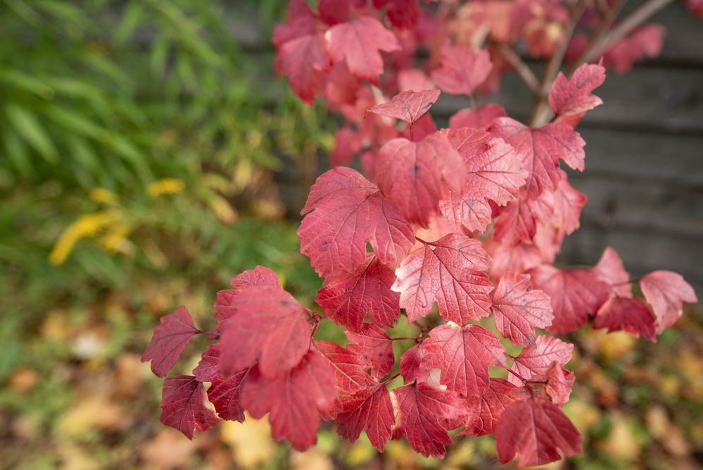 Photograph by Алексей Новиков