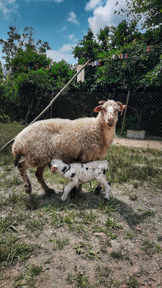 Photograph by Александра Ельникова