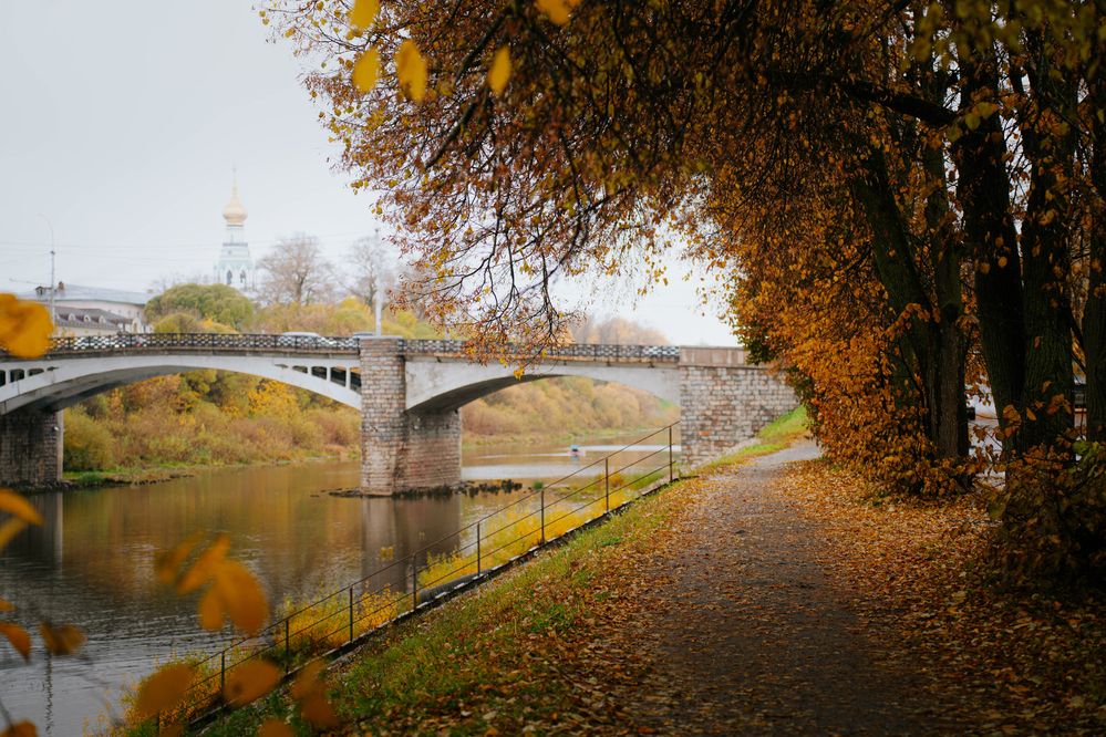 Photograph by Елена Савенкова