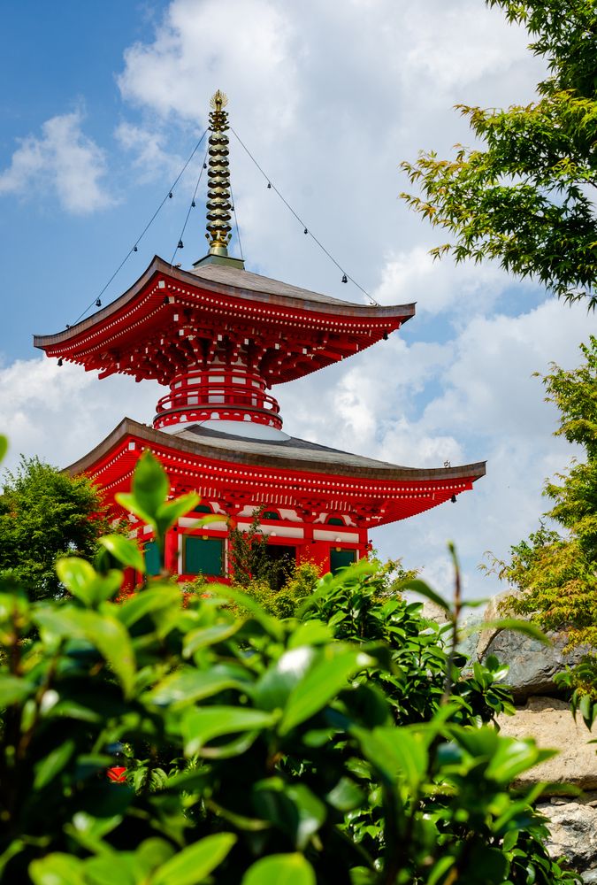 Photograph by Анастасия Кашенко