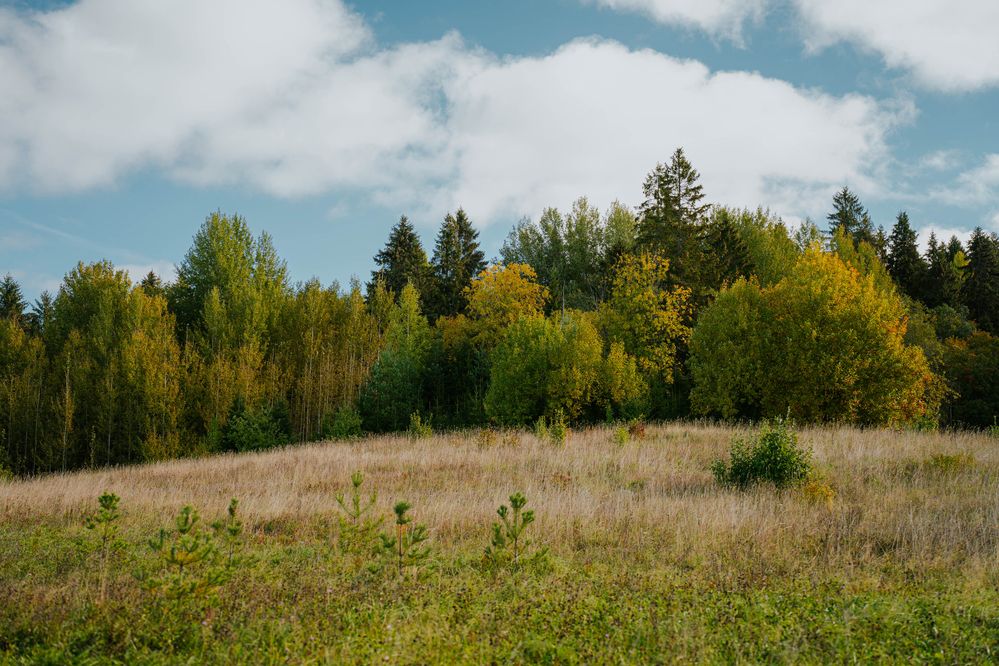 Photograph by Елена Савенкова