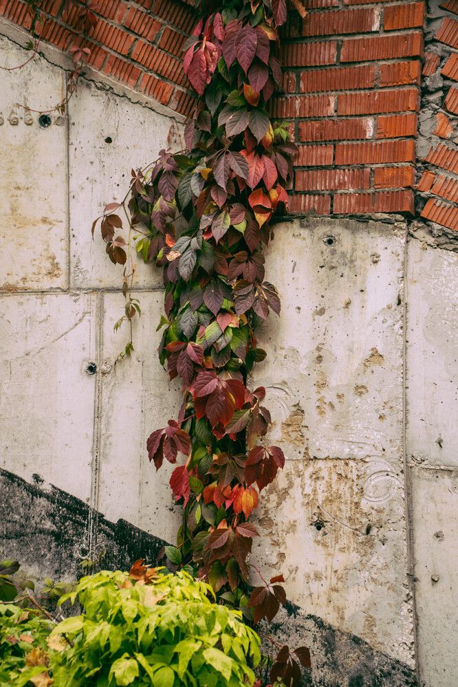 Photograph by Ekaterina Barashkova