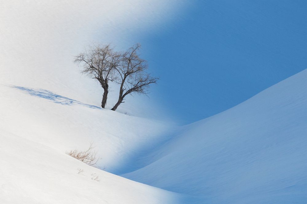 Photograph by Mohammad Shokoohi Rad