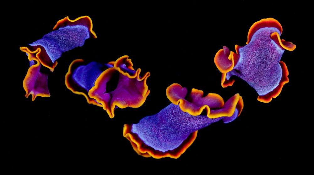 Фотография автора Андрей Нарчук