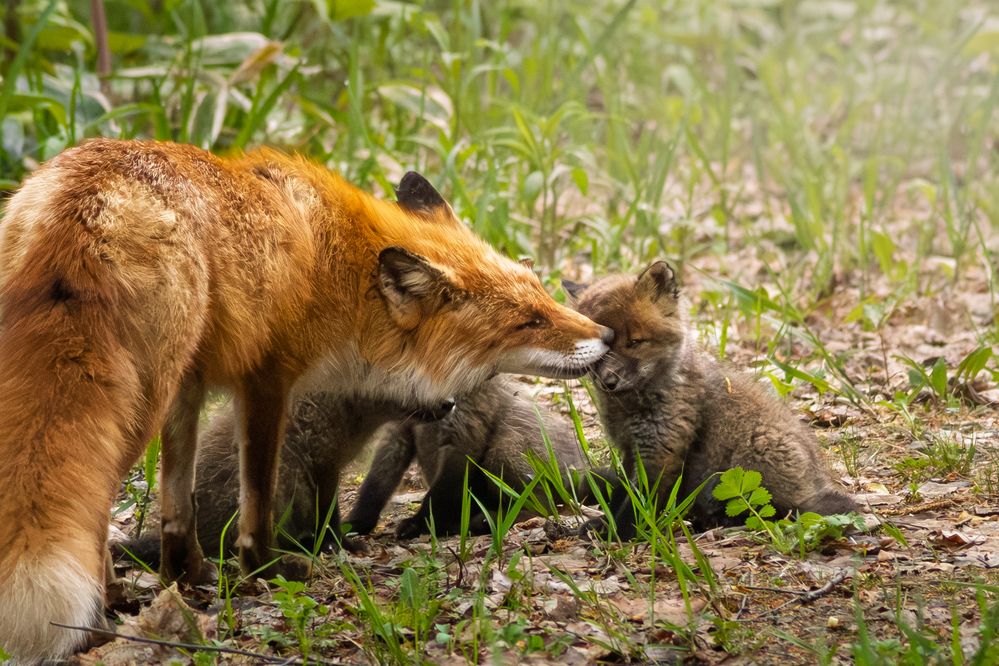 Photograph by Kato Shoya