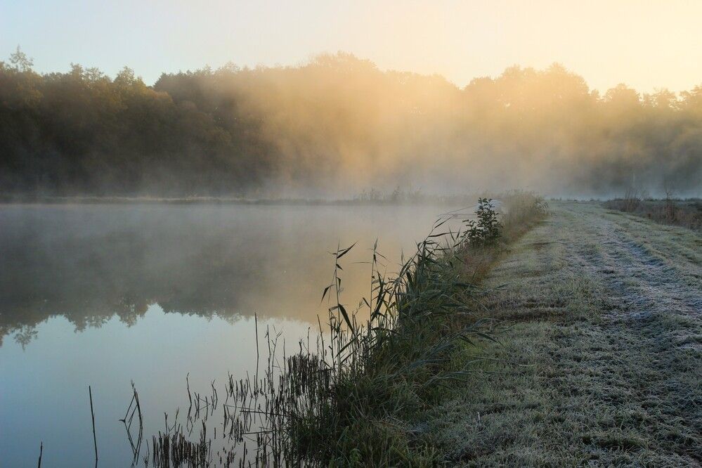 Photograph by Maciej Morgiel