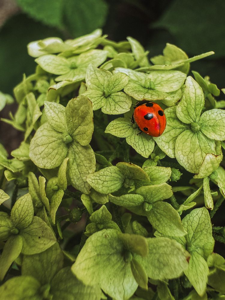 Photograph by Анна Пигулевская
