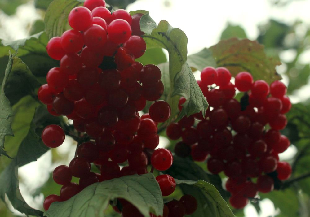 Photograph by Кирилл Елесин