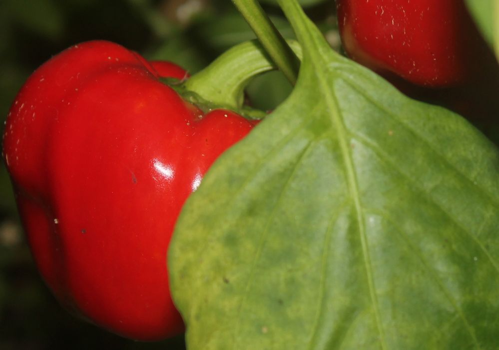 Photograph by Кирилл Елесин