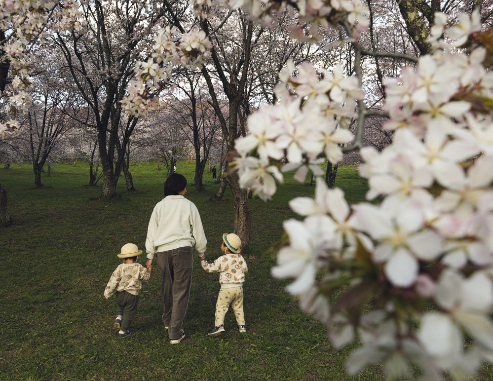 Photograph by Kato Shoya