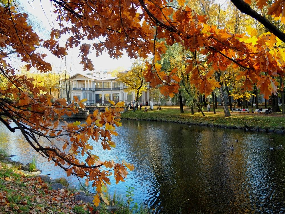 Photograph by Наталия Романова