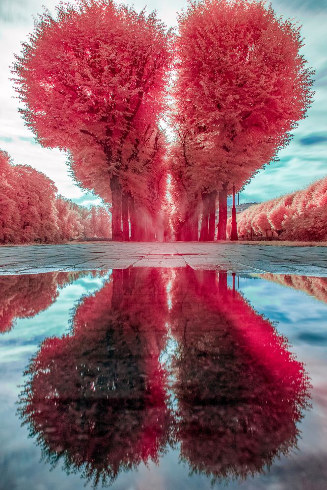 Photograph by Никита Иванов