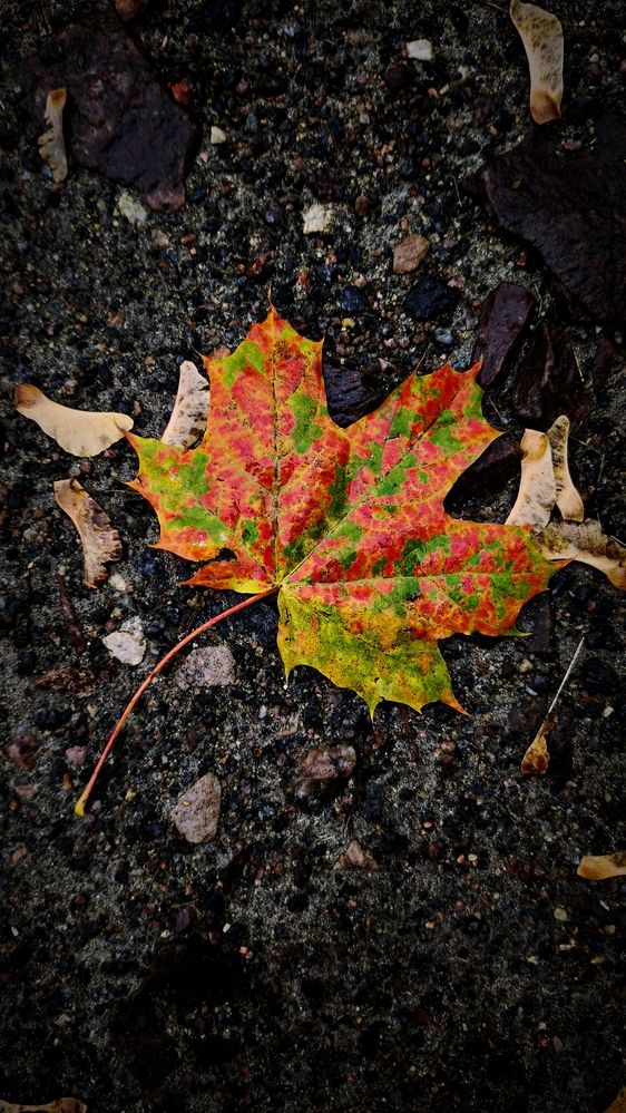 Photograph by Eugenia Blinova