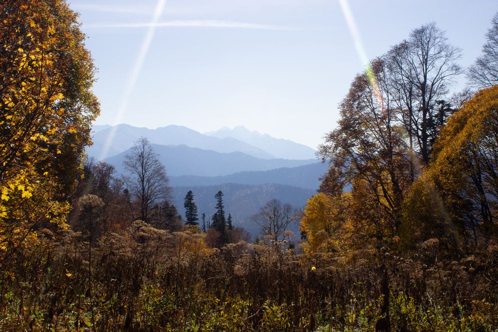 Photograph by Цибуляк Анна