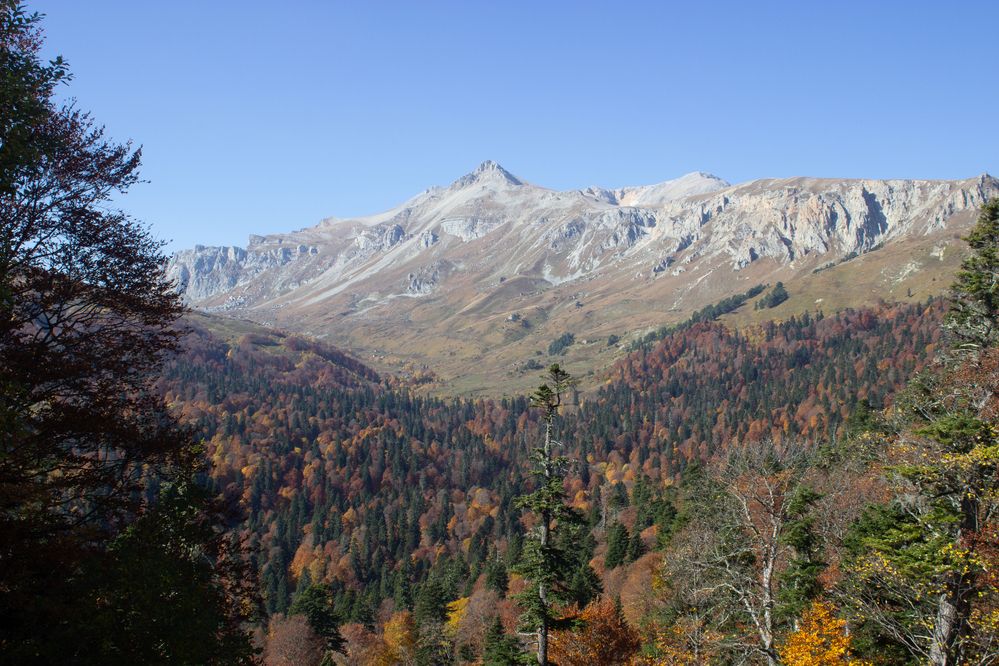 Photograph by Цибуляк Анна