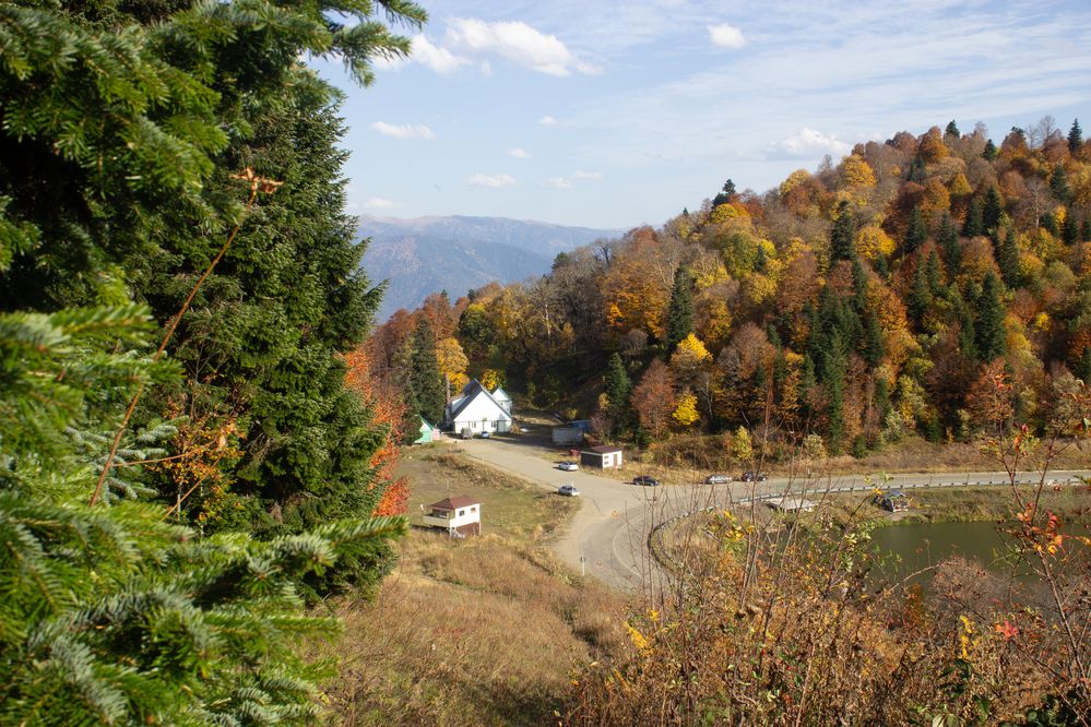 Photograph by Цибуляк Анна