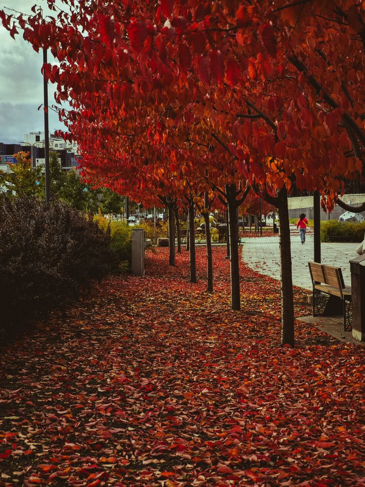 Photograph by Ljubov Trombovetskaja